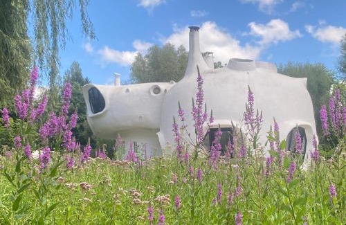 Raon-l'Etape Hotel | Experience Bulles de l'eau vive - Pet-Friendly Motel Stay