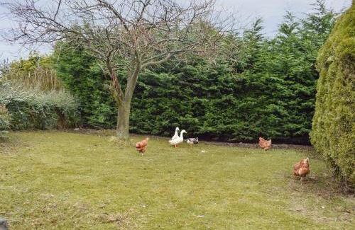 Falkirk House | Pet-Friendly Retreat at Bumbles Barn: Guest Rated 10/10