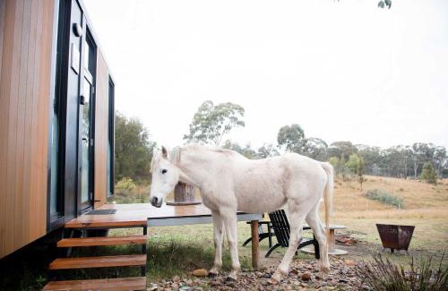 Martindale House | Cozy Bundaleer Tiny House 2: Pet & Child Friendly Retreat