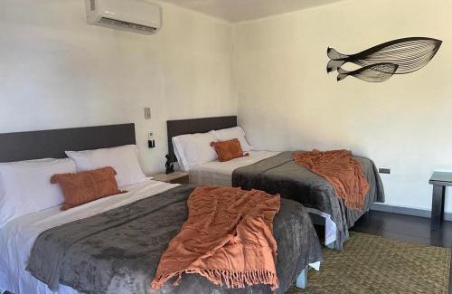 Elota Apartment | Beautiful Bungalow Ballena with Ocean Views and Pet-Friendly