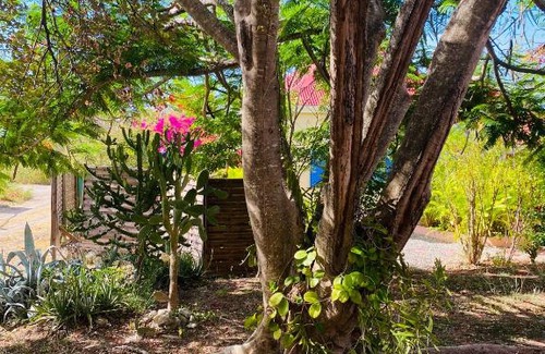 Capesterre-de-Marie-Galante Apartment | Cozy Bungalow Steps from the Beach - Family-Friendly Stay