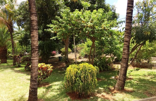 Grand Gaube Villa | Sea and Poolside Bungalow for Families and Friends