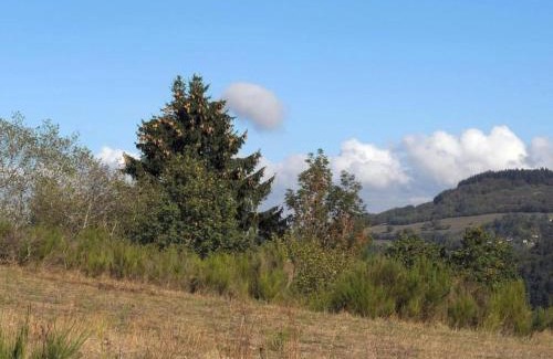 Ferienhausgebiet Hillenseifen House | Bungalow in Eifel near Mountain Trails