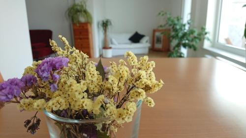 Mittelfeld Apartment | Family-Friendly Bungalow Near Messenähe with Great Reviews