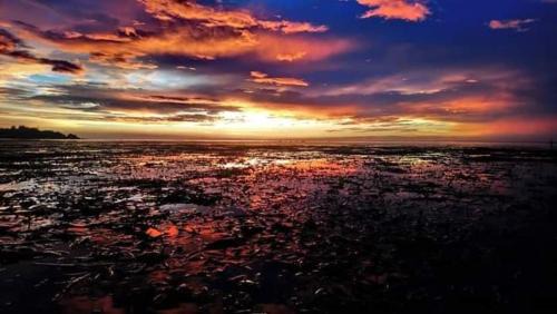 Cauayan House | Beachfront Bungalow with Ocean View & Sunset Relaxation