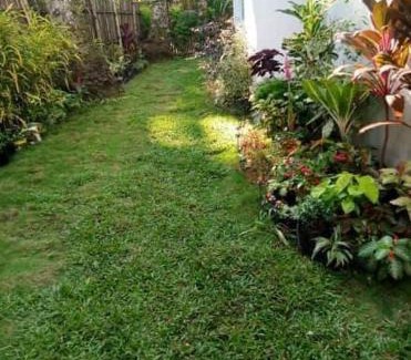 Cauayan House | Beachfront Bungalow with Ocean View & Sunset Relaxation