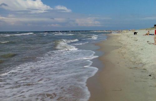 Ostseebad Ahrenshoop House | Oceanfront Bungalow in Ahrenshoop with Stellar Reviews