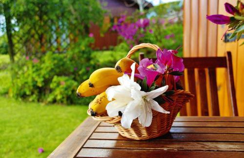 Vila Franca do Campo House | Inviting Holiday Homes at Quinta dos Curubás, Azores