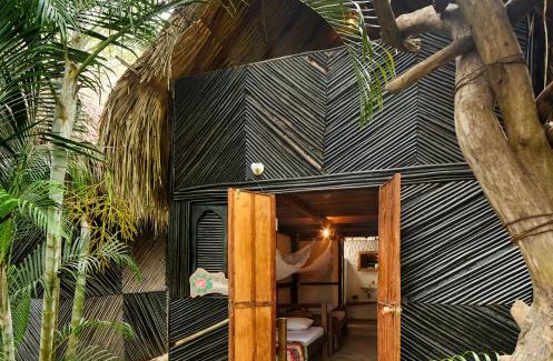 Palomino House | Pet-Friendly Bungalows Casa Rio Palomino - Rated 10/10