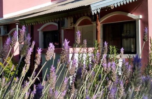 San Jose Apartment | Pet-Friendly Bungalows Los Talas: Oceanfront Bliss Awaiting