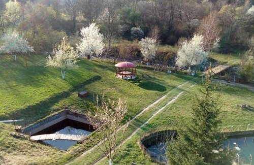 Berkovitsa House | Discover Bungalows Zdravets: Guest Rated 9/10 & Pet Friendly
