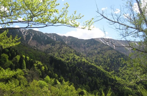 Berkovitsa House | Discover Bungalows Zdravets: Guest Rated 9/10 & Pet Friendly