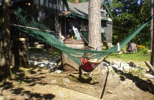 Hill Cabin | Pet-Friendly BUNK'D Cabin Near Waterfall with WiFi