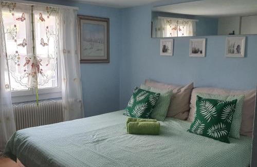 Morschach Apartment | Comfortable Buongustaio1 Room with Ensuite and Pet Friendly
