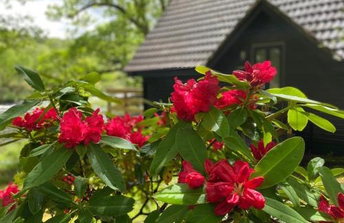 Spean Bridge Cabin | Discover Burnbank Lodges - Guest Rated 9.1/10