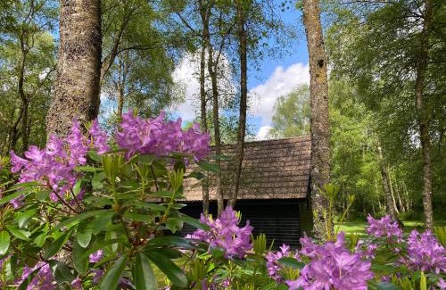 Spean Bridge Cabin | Discover Burnbank Lodges - Guest Rated 9.1/10