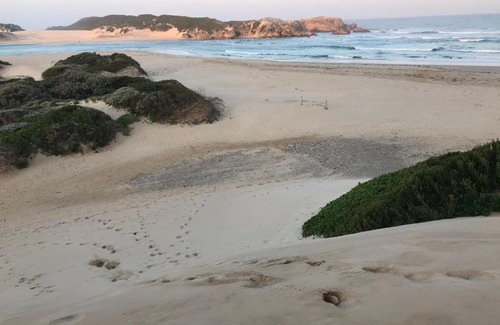 Bushman's River Mouth House | Beachfront Bushmans River Home with Pool & Stunning Views