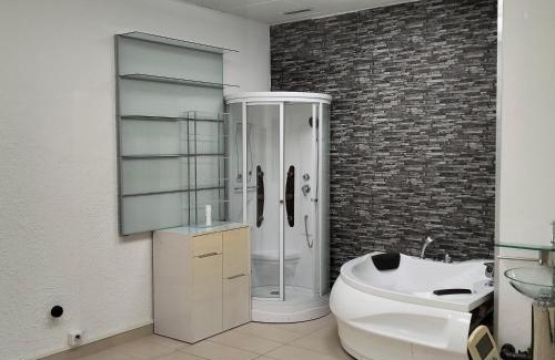 Lausanne Apartment | Business and Jacouzzi in Lausanne