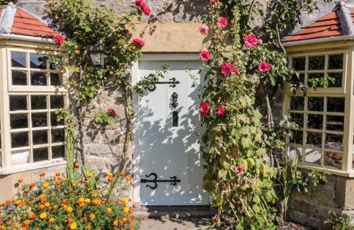 Lockton House | Experience Bute Cottage: Pet & Child Friendly Retreat