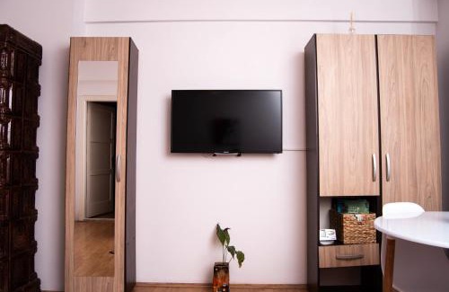Tirgu Mures Apartment | Hidden Gem Butterfly Apartment in Targu Mures