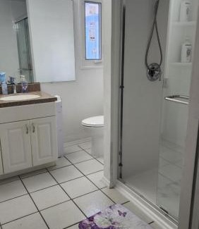 St. Petersburg - Clearwater House | Guest Rated 10/10 at Butterfly Ranch with Kitchen Access
