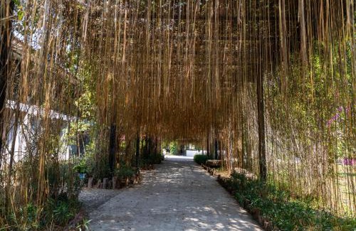 Vientiane Hotel | Relax at Butterfly Valley: Pool, Spa & Family-Friendly Fun