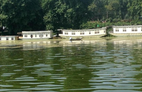 Brein Resort | Ideal Stay at Butts Clermount Houseboat - Rated 10/10!