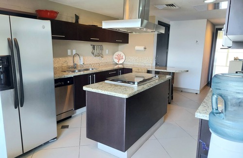 Ixtapa Condo | Unforgettable BVG Penthouse with XL Ocean View Deck