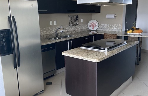 Ixtapa Condo | Unforgettable BVG Penthouse with XL Ocean View Deck
