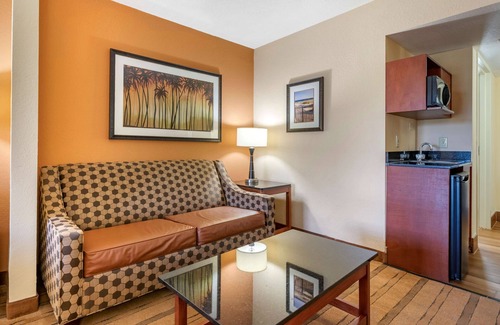 Palm Coast Hotel | Eco-Friendly BW Plus Flagler Beach Inn with Pool & Spa