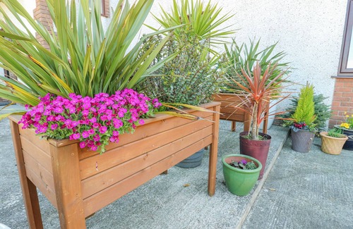 Llangefni Apartment | Relax at Bwlch Y Gwynt Bach with Breakfast & Kitchen Access