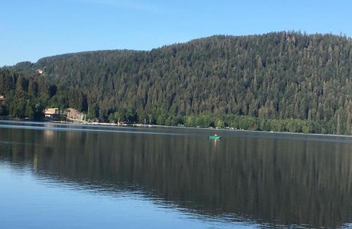 Gerardmer Hotel | Oceanfront Retreat at Le Ptit Hotel du Lac - Rated 8.6/10