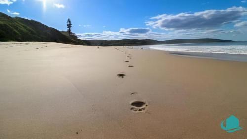 Catherine Hill Bay House | Relaxing Retreat by the Beach at Catho - Pet Friendly!