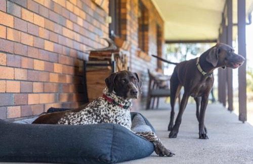 Coomba Park House | Discover Byadbo: Pet-Friendly Hotel for the Whole Family