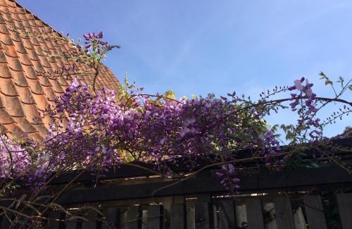 Faaborg Villa | Byhus i Faaborg