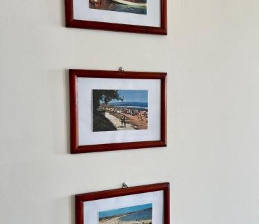Byala Apartment | Byla Sea Star Apartment: Pet-Friendly Oceanfront Retreat