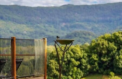 Mullumbimby House | Discover Byron Bay Hinterland’s Family-Friendly Retreat