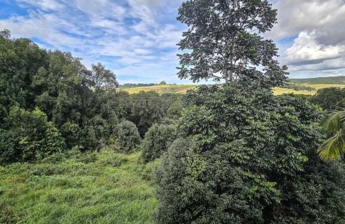 Talofa Apartment | Byron Bay Hinterlands Dreaming Woods Cabin One