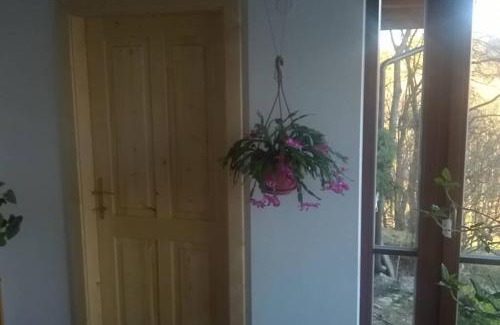Vrchlabi Apartment | Relaxing Retreat at Byt Kněžice u Vrchlabí - 9.5/10 Rating