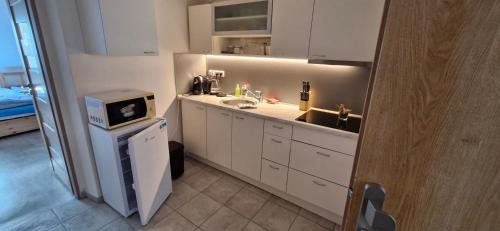 Pocatky Apartment | Pet-Friendly Comfort at Bytový dům Počátky - Rated 8.9