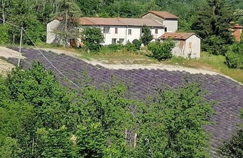 Sale San Giovanni House | Pet-Friendly Retreat at Cà Burghin - Rated 8.1/10