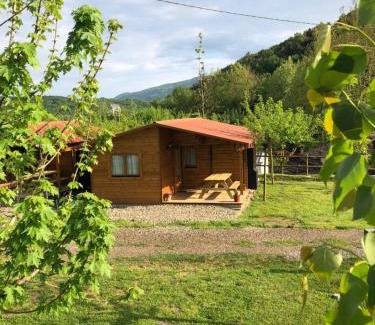 Les Planes d'Hostoles Other | Accessible Family Retreat at Càmping Molí de Vilamala