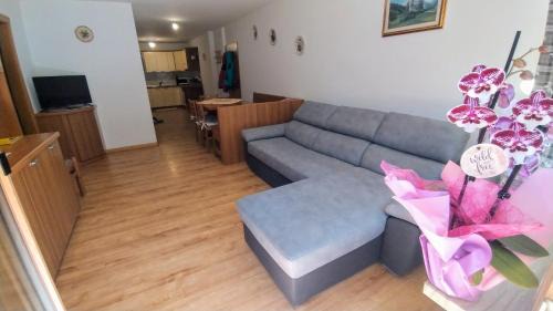 Campitello di Fassa Apartment | Experience Cèsa Sot Rodela - Sas Piat: Pet & Child Friendly