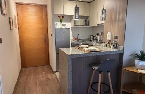 Concepcion Apartment | Céntrico,acogedor, con gran vista y estacionamiento