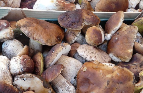 Pont-de-Montvert-Sud-Mont-Lozere House | Cévennes National Park Pont de Montvert sector