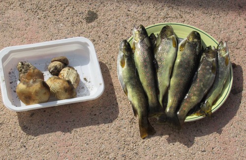 Pont-de-Montvert-Sud-Mont-Lozere House | Cévennes National Park Pont de Montvert sector