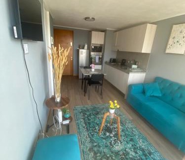 Concepcion Apartment | Discover a Pet-Friendly Central Apartment Rated 10/10