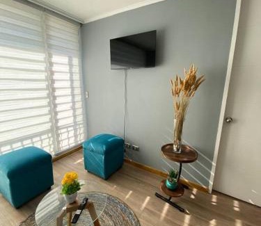 Concepcion Apartment | Discover a Pet-Friendly Central Apartment Rated 10/10