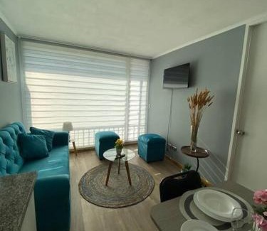 Concepcion Apartment | Discover a Pet-Friendly Central Apartment Rated 10/10