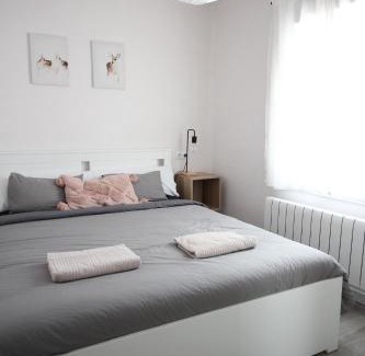 Abena Apartment | Inviting Flat in the Beautiful Aragonese Pyrenees